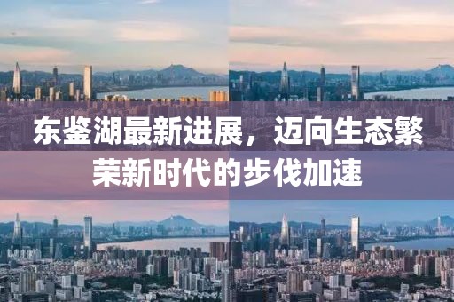 東鑒湖最新進(jìn)展,邁向生態(tài)繁榮新時(shí)代的步伐加速