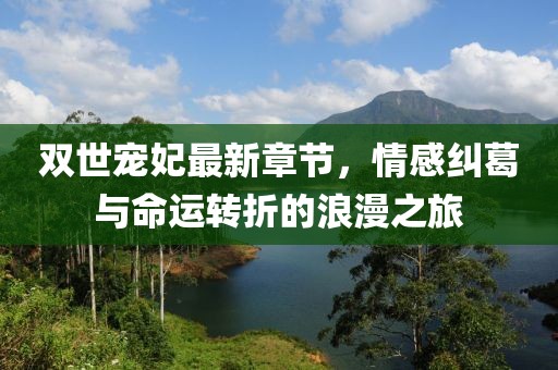 雙世寵妃最新章節，情感糾葛與命運轉折的浪漫之旅