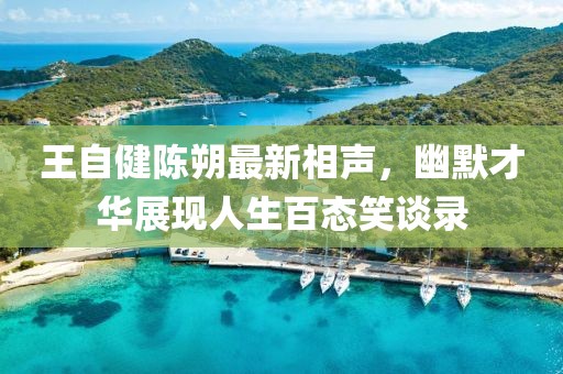 王自健陳朔最新相聲，幽默才華展現(xiàn)人生百態(tài)笑談錄
