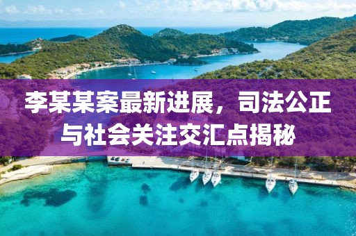 李某某案最新進展，司法公正與社會關注交匯點揭秘