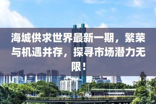 海城供求世界最新一期,繁榮與機遇并存,探尋市場潛力無限!