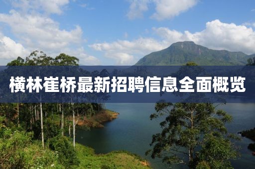 橫林崔橋最新招聘信息全面概覽