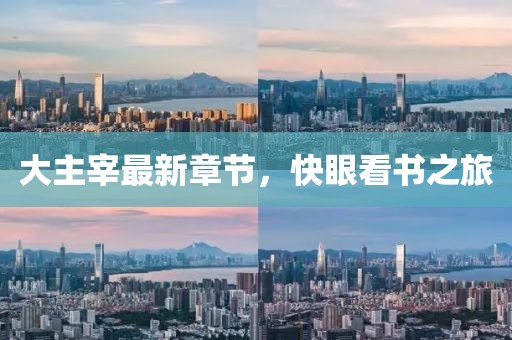 大主宰最新章節(jié),快眼看書之旅