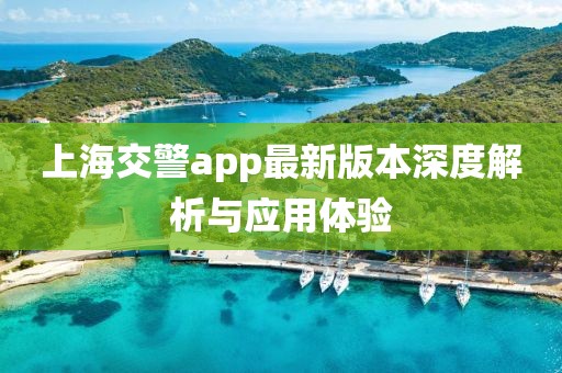 上海交警app最新版本深度解析與應用體驗