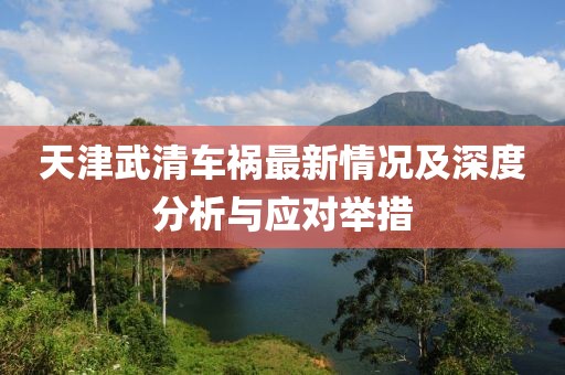 天津武清車禍最新情況及深度分析與應對舉措