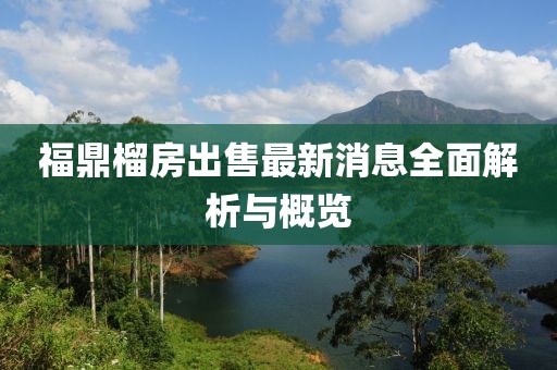 福鼎榴房出售最新消息全面解析與概覽