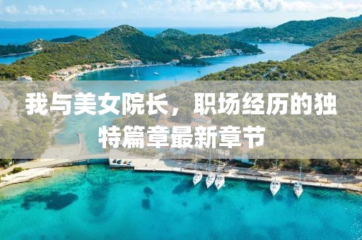 我與美女院長，職場經歷的獨特篇章最新章節