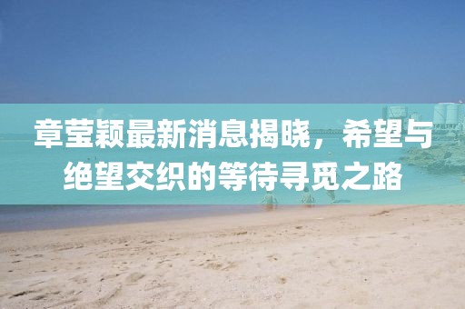 章瑩穎最新消息揭曉,希望與絕望交織的等待尋覓之路