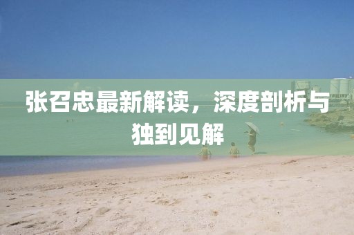 張召忠最新解讀,深度剖析與獨到見解