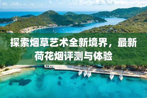 探索煙草藝術(shù)全新境界,最新荷花煙評(píng)測(cè)與體驗(yàn)