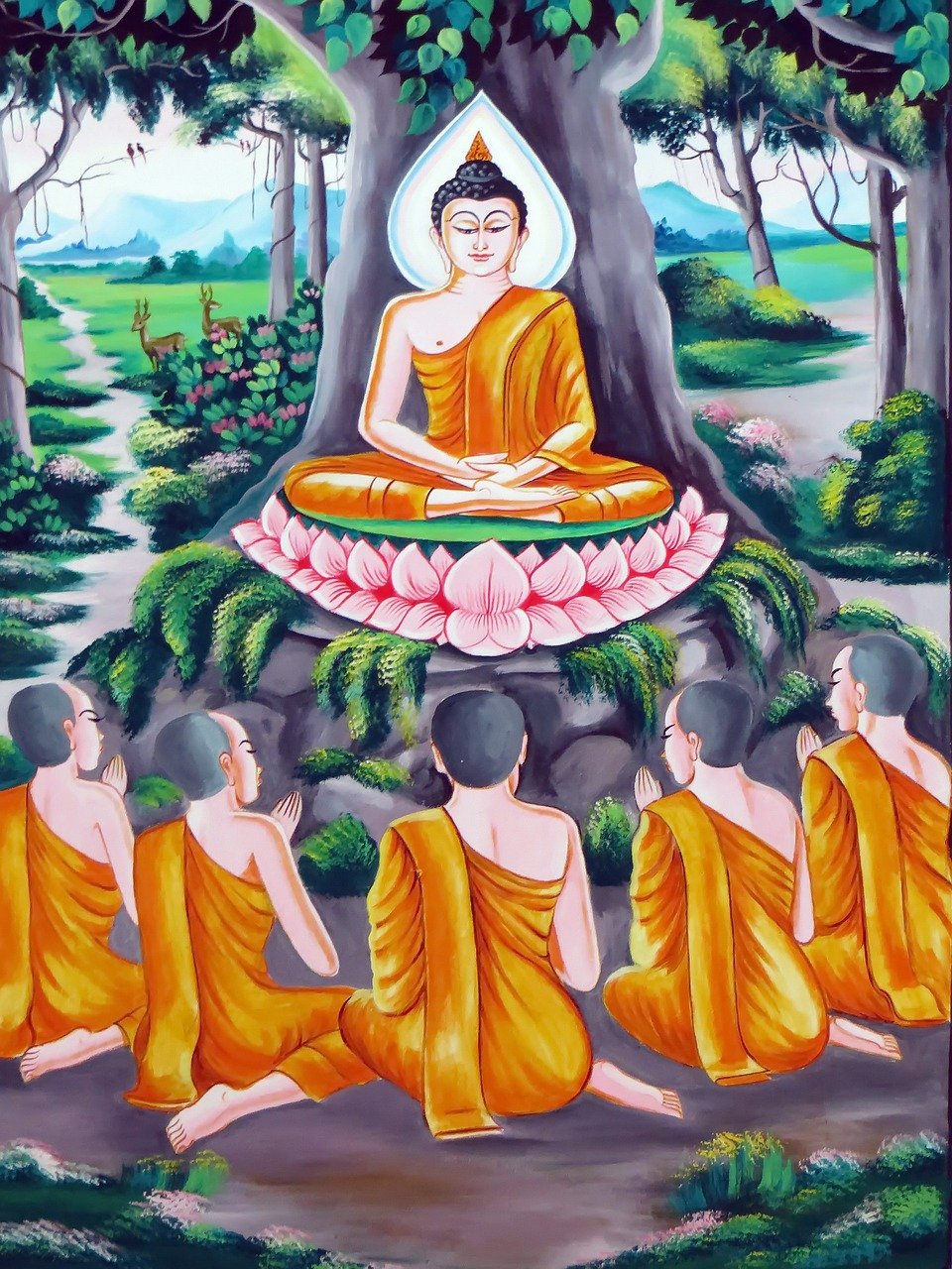 王二妮最新圖片及藝術魅力深度解讀揭秘!