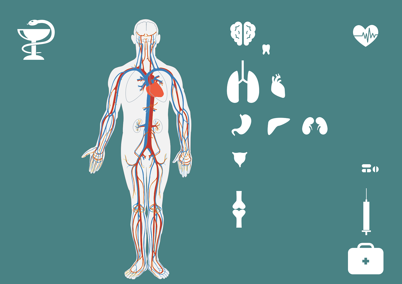 關于最新腐漫畫的文章,涉黃問題需警惕,健康閱讀需謹慎