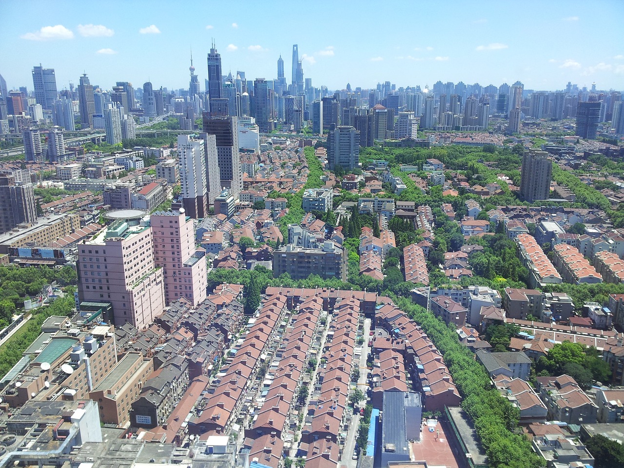 最新羽絨價格動態及其對市場的影響分析