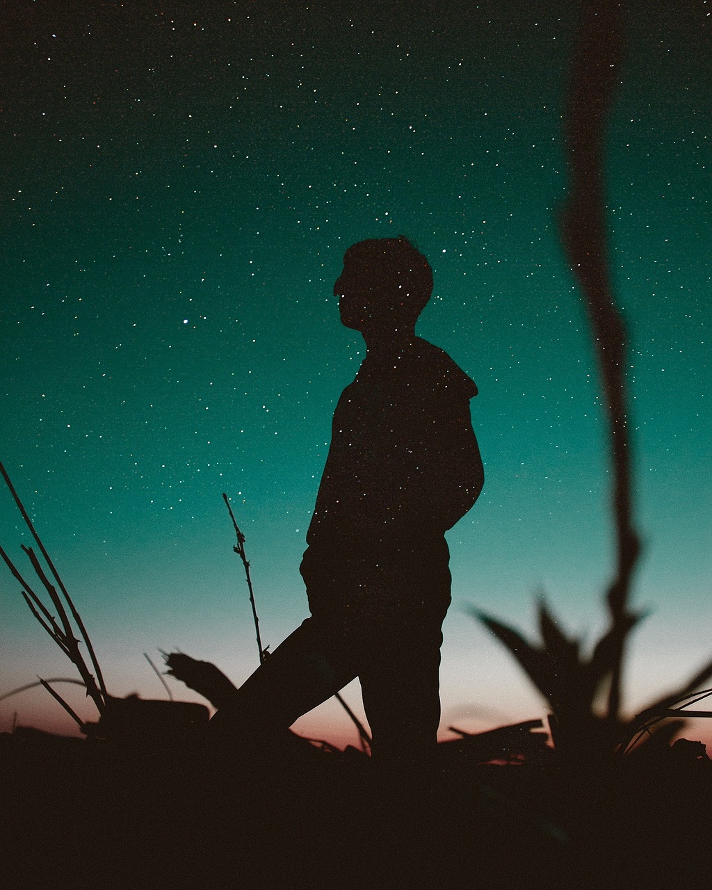 最新一期我是大明星,星光璀璨,夢(mèng)想起航之夜