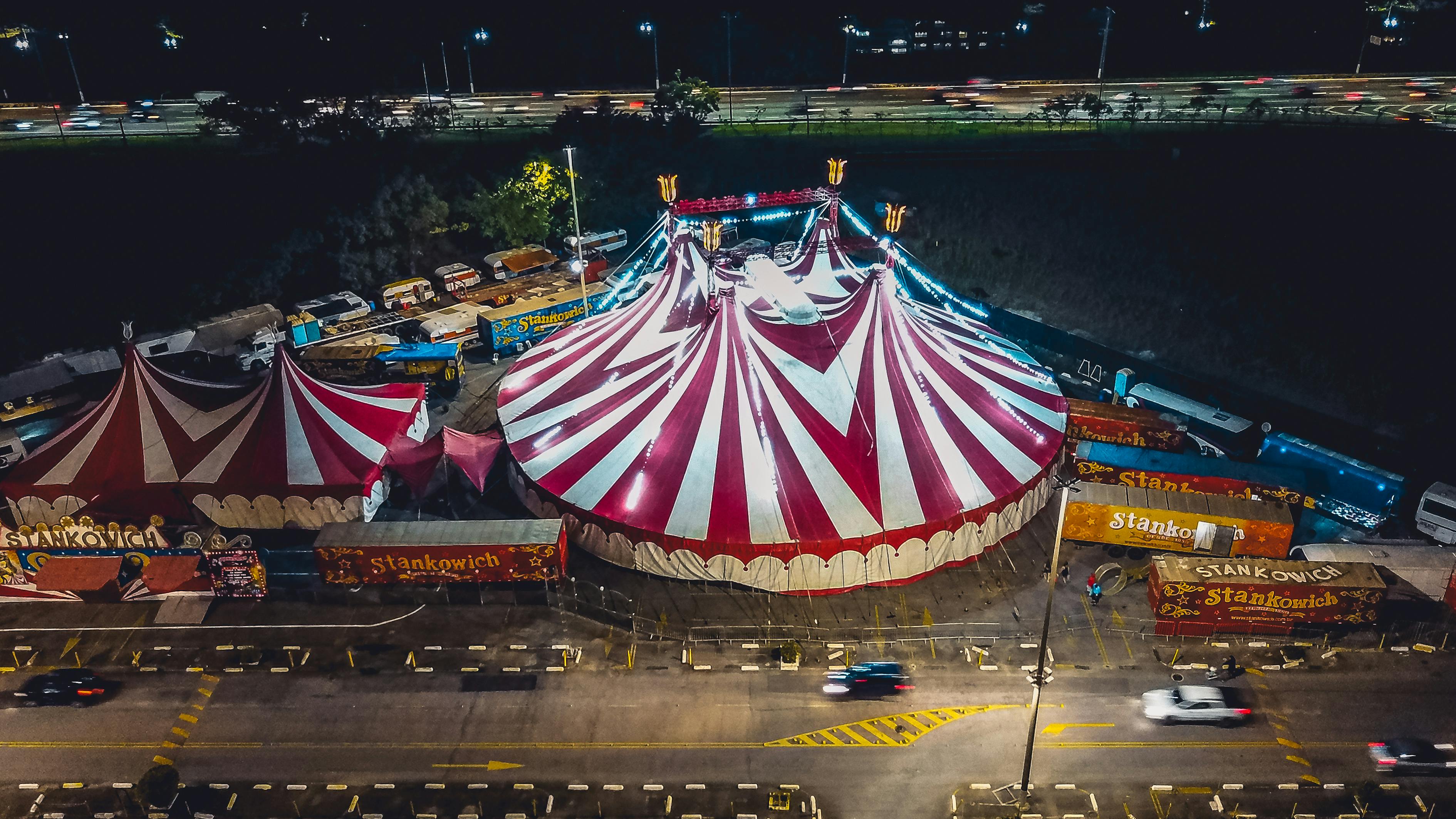 臨沂土豆價格最新行情分析,市場動態與趨勢解讀