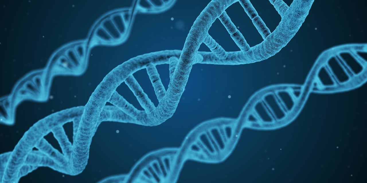 最新異常感染研究、防治策略與最新進(jìn)展概述