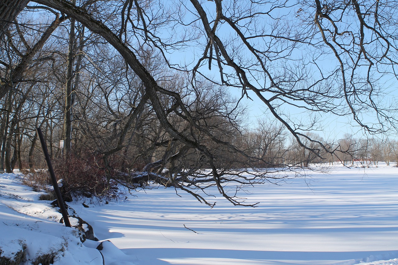 全國(guó)多地降雪來襲,氣象部門發(fā)出預(yù)警,最新下雪新聞匯總
