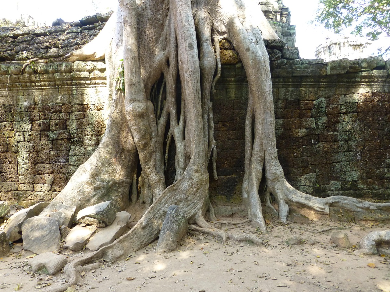 途樂最新動態,豪華越野之旅的未來探索